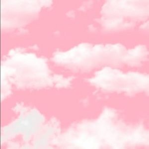 Meet your Posher, Rose